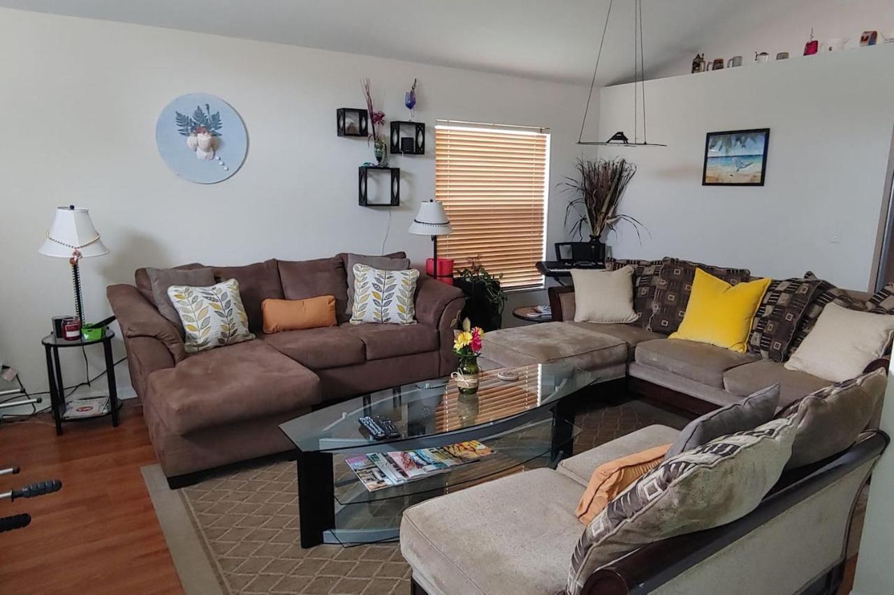 טאמפה Cozy And Conveniently Located Pool Home With Free Wifi מראה חיצוני תמונה